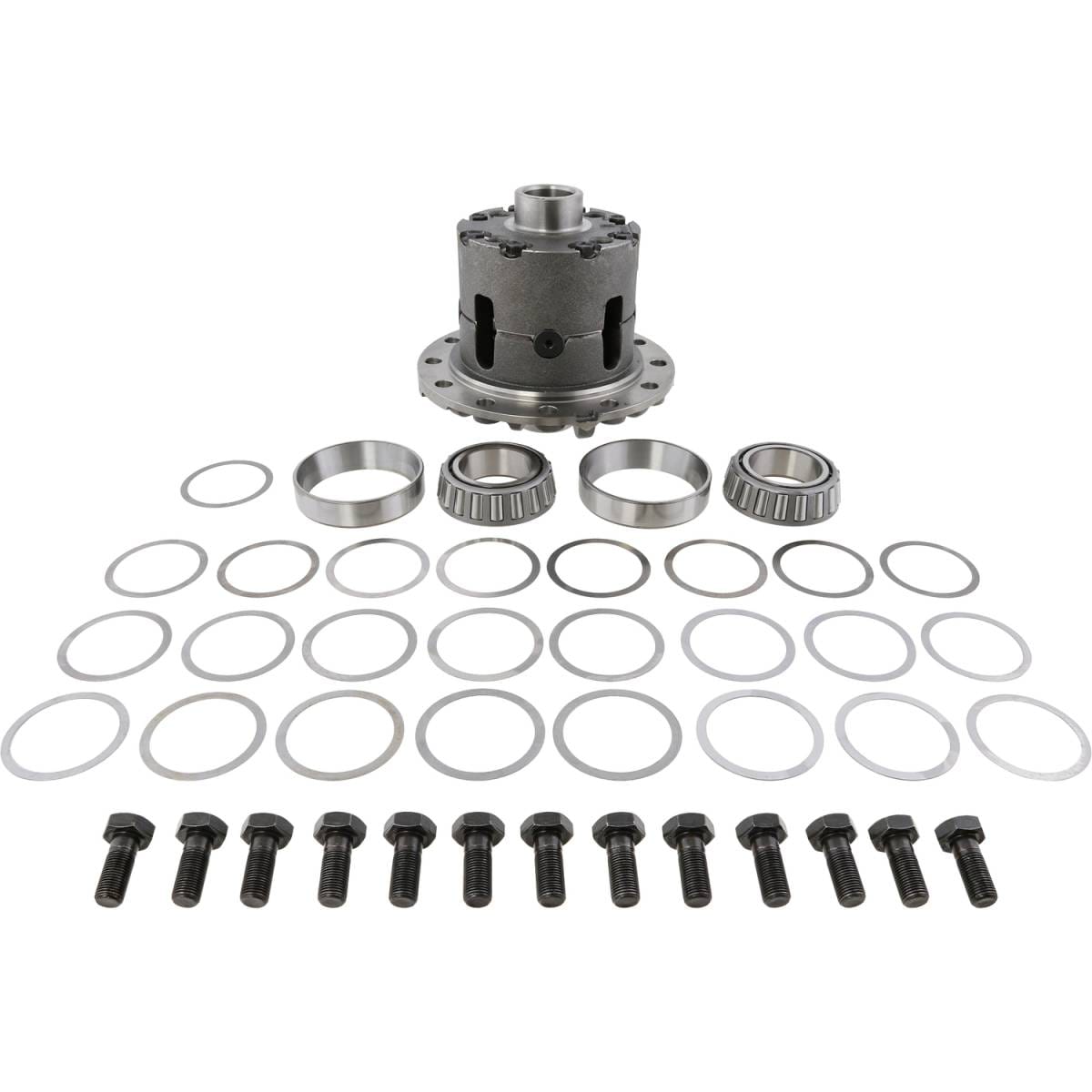Spicer 2011841 Differential Carrier Dana 80 Loaded Trac-Lok 4.10 and Up - NON-RETURNABLE